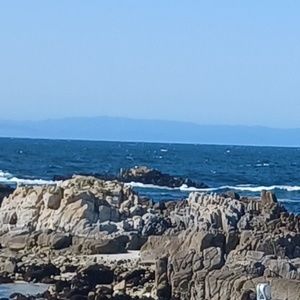 Meet your Posher, Max